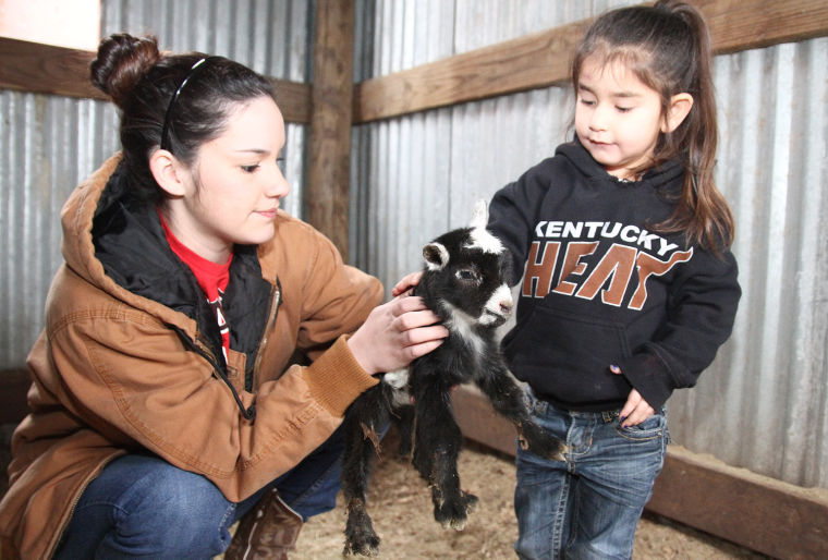 New Baby Goat at BLORA
